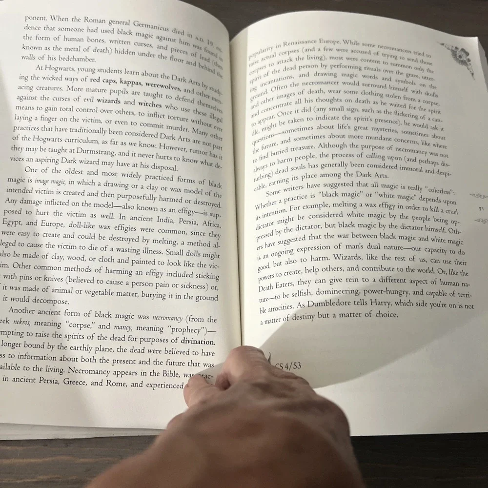 The Sorcerer's Companion: A Guide to the Magical World of Harry Potter‎ by Allan